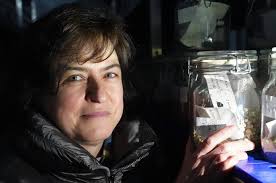 Fotos: Castilla y León envía cereales y leguminosas a la Bóveda Global de  Semillas de Svalbard