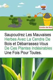 Desherbant Bio 5 Recettes Fait Maison En 2020 Desherbant Naturel Efficace Outils Jardinage Desherbant Naturel