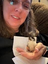 Angie Lilley's Instagram, Twitter & Facebook