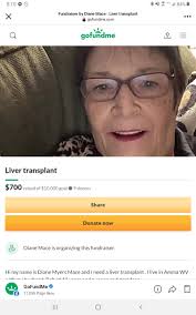 Holstein House and More