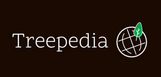 Treepedia, el inventario cartográfico de árboles - Gis&Beers