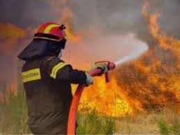 Όλοι αυτοί έχουν περιθώριο αγωγής μέχρι τέλους του έτους. Patra Twra Fwtia Ston Riganokampo Koinwnika Nea Kai Eidhseis