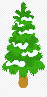 Types of trees such as pines, firs, spruces, and cedars only lose their leaves gradually and they stay green all year long. Evergreen Tree Clipart Clipart Evergreen Tree Png Download 4999776 Pinclipart