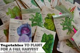 We did not find results for: Planting A Fall Vegetable Garden Time To Start Your Seeds One Hundred Dollars A Month