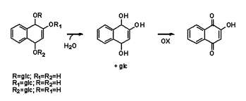 After being in the tattoo industry for several years, we decided to branch out on our own to offer visitors a comfortable. Scielo Brasil Henna Through The Centuries A Quick Hptlc Analysis Proposal To Check Henna Identity Henna Through The Centuries A Quick Hptlc Analysis Proposal To Check Henna Identity
