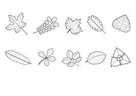 Kostenlose Malvorlage Herbst Herbstlaub Ausmalen Zum Ausmalen