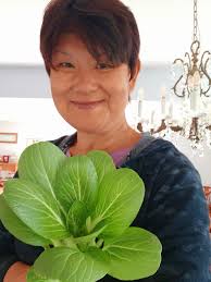 Just harvested from my garden.Organic bokchoy!