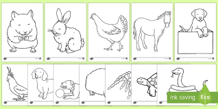 See more ideas about coloring pages, coloring pictures, animals for kids. Pets Coloring Sheets Teacher Made