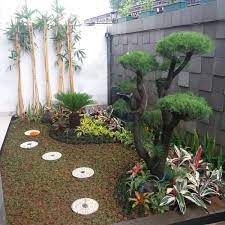1.1 potensi tanaman palem untuk dikembangbiakkan. Jual Diskon Paket Tanaman Hias Untuk Taman Minimalis Di Lapak Bopan Home Bukalapak