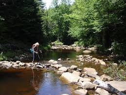Jul 24, 2020 · all that sits right in the heart of the state's most rugged wilderness: Forks Of Red Creek Hike