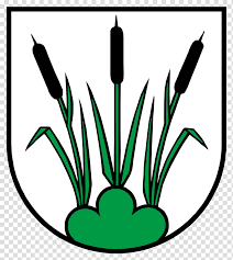 black and white flower rohr buchs hirschthal coat of arms canna di palude canting arms aarau transparent background png clipart hiclipart hiclipart
