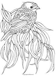Free printable parrot coloring pages for kids. Ruth Heller Coloring Pages