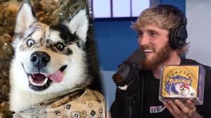 There was an idea to make shiny pokemon also have a short little sparkle upon their appearance (sort of like what. Logan Paul Reveals How His Dog Ate Rare Pokemon Card Worth 25 000 Dexerto