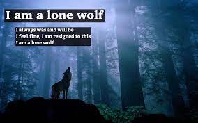 Etwas flapsig formulierten zitat auf einer lokalen veranstaltung vor . Pin By Fahad Baloch On Wolf Quotes Lone Wolf Wolf Quotes Lonely