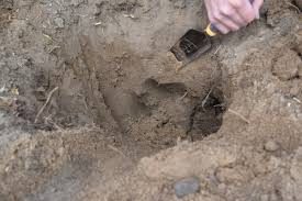 Check spelling or type a new query. Is There Actually A Right Way To Dig A Hole For Planting Soils Matter Get The Scoop