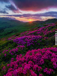 Secret Garden In Transylvania In 2020 Beautiful Landscapes Landscape Photography Nature