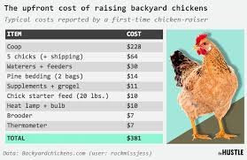 Chicken coop in your backyard could be placed basically anywhere your heart desires. People Are Losing Their Clucking Minds Over Backyard Chickens