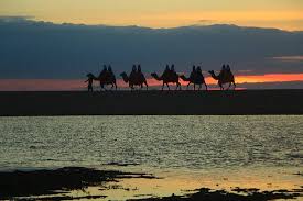Los cabos tours, los cabos sightseeing, activities in los cabos, los cabos day tours, los cabos attractions, los cabos transfers, los cabos los cabos shared airport transportation roundtrip. Camel Ride During The Beautiful Sunset At Los Cabos Picture Of Cabo San Lucas Los Cabos Tripadvisor