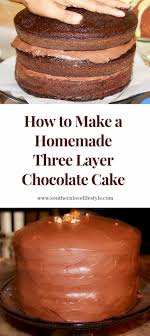 The Best Chocolate Cake On The Planet Southern Love Recipe Three Layer Chocolate Cake Cake Recipes Homemade Chocolate Cake