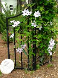 Posts About Clematis On Heart Of A Southern Woman Clematis Moon Garden Garden Maintenance
