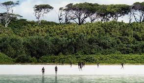 Showbiz intern • la 00:20. Cea Mai IzolatÄ CivilizaÅ£ie Din Lume Cea SentinelezÄ