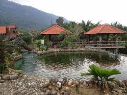 Tidak heran bila kemudian kebupaten yang satu ini menjadi lebih populer di kalangan wisatawan ketimbang kabupaten lainnya. Rupanya Ini 12 Tempat Menarik Di Kampar Boleh Kunjungi Beramai Ramai Ammboi