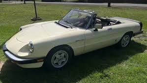 Image result for Avorio 1984 Alfa-Romeo