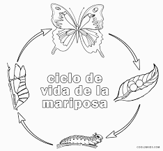 Descubra ciclo de vida animales imágenes de stock en hd y millones de otras fotos, ilustraciones y vectores en stock libres de regalías en la colección de shutterstock. Dibujos De Mariposa Para Colorear Paginas Para Imprimir Gratis
