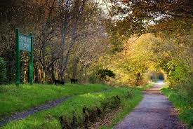 Padstow to bodmin (vial camel trail). Camel Trail Cycle Hire