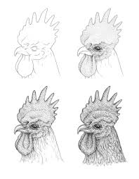 We did not find results for: Drawing A Rooster With Ink Liners Eugenia Hauss