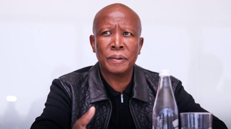 Julius Malema - South Africa's radical agenda-setter leading the EFF into 2024 elections - BBC News