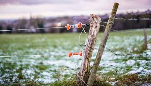 Nicpup electric dog fence, upgrade pet fence with 656 feet boundary wire, above and underground fence dual purpose, equip 2 rechargeable waterproof collars, millions of dogs available system. Electric Fencing The Economical Option For Your Farm Hobby Farms