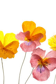 Crepe Paper Pansies Handmade And Photographed By Papetal Paper Flowers Paper Flowers Diy Paper Roses