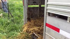 Tall grass farms is a small, family owned, nursery in medical lake, specializing in nursury stock and dahlia flowers. All Grass Farms Home Facebook