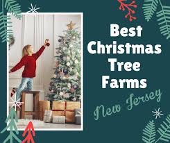 Create a winter wonderland with outdoor christmas decorations. Christmas Tree Farms In Nj Cut Your Own Prices 2020