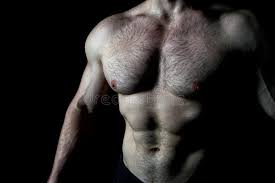 The female torso, usually having more subcutaneous tissue, is softer in appearance, with an overall shape similar. Torso Muscular Male Body Bodybuilder Achievement Great Shape Naked Torso Chest Six Pack Muscles Looks Impressing Stock Photo Image Of Body Professional 124369912