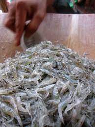 Do you love thai food? Watch Thai Dancing Shrimp A Serving Of Thailand S Most Lively Dish