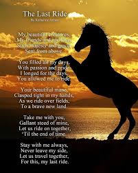 The Last Ride Horse Photography Horse Love Equestrian Life