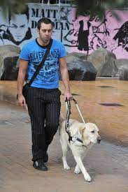 Ten Things To Know About Guide Dogs Blind Foundation