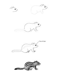 To buy the marker go here: Drawing Journal Activity Lots Of Animals In 2021 Drawing Lessons Chipmunk Drawing Animal Drawings