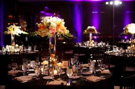 Lights Texas Professional Disc Jockey