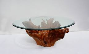 The tree root coffee table is one of the best tables you can choose for your home. Mid Century Teak Tree Root Coffee Table With Beveled Glass Top For Sale At Pamono