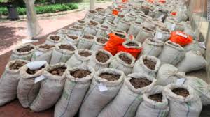 We did not find results for: Record Haul Of Pangolin Scales Highlights Chinese And Vietnamese Demand For Endangered Species Wildaid