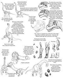 Sauropod Tutorial By Droemar On Deviantart Dinosaur Drawing Dino Drawing Drawing Tutorial