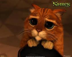 le chat potté - Blog de shrek-1-2-3