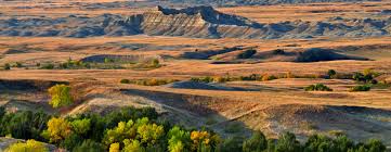 We did not find results for: Frontier Cabins Motel Black Hills Badlands South Dakota
