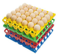 Amazon.com: George Garden 8-Pack Plastic Egg Tray Egg Crates ...