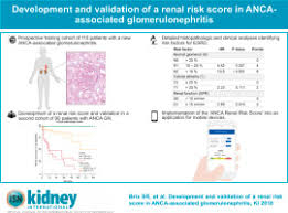 Factors determining renal impairment in. Development And Validation Of A Renal Risk Score In Anca Associated Glomerulonephritis Kidney International