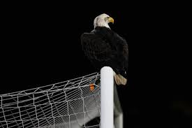 İstanbul'un, sur dışındaki en eski semtlerinden biridir. Kartal Kondu 3 Boyutlu Besiktas Poster Duvar Kagidi