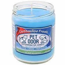 These candles contain special enzymes that work like fabreeze. Pet Odor Exterminator Candle Clothesline Fresh Jar 13 Oz Walmart Com Walmart Com